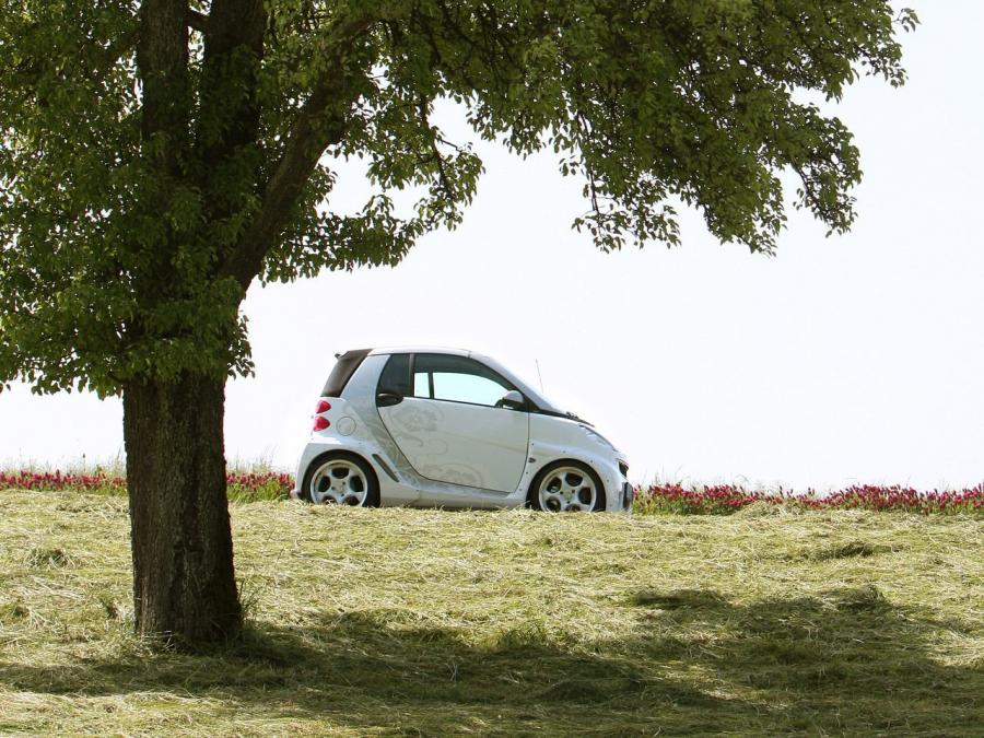  Smart ForTwo by Koenigseder 2008 года  (фото 3 из 15)